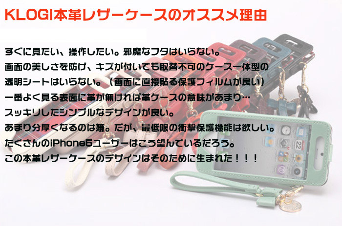 iPhone5s専用ビジネスケース　本革　iPhone 5sレザーケース