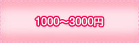 1000～3000円