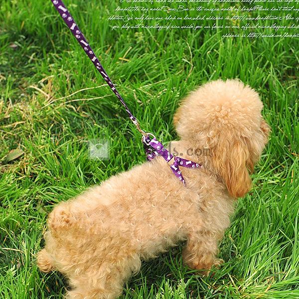 犬用ロープ リード ペット用品 犬用品 首輪 胴輪 リード ペットグッズ 猫用