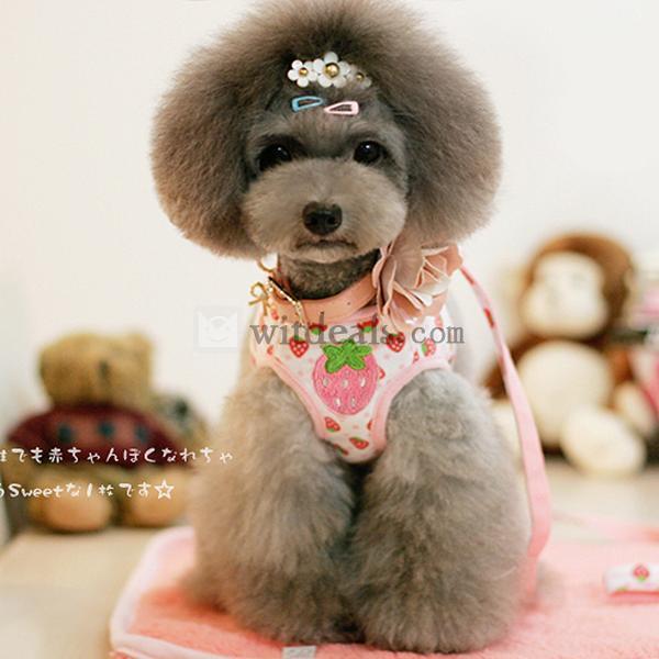 ハーネス リードセット ペット ペットグッズ 犬用品 犬 首輪 胴輪 リード ハーネスリード ペット用品 通販
