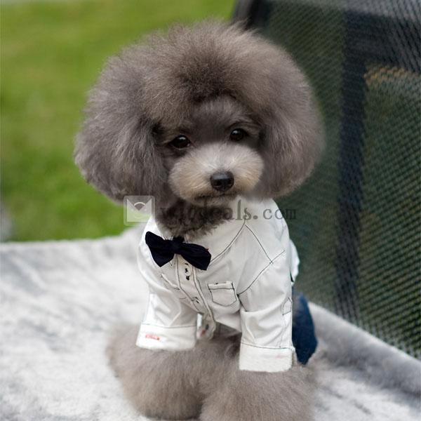 超かわいい犬服 犬 シャツ ペット パーティ 変装 犬 ウェア 上着 リボン付き ペットグッズ ペット用品 綿